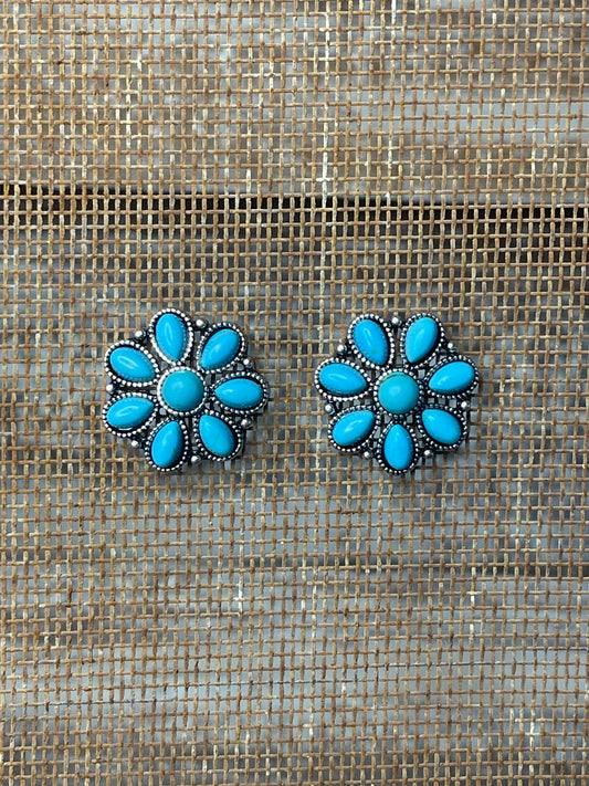 Romy Faux Turquoise Earrings
