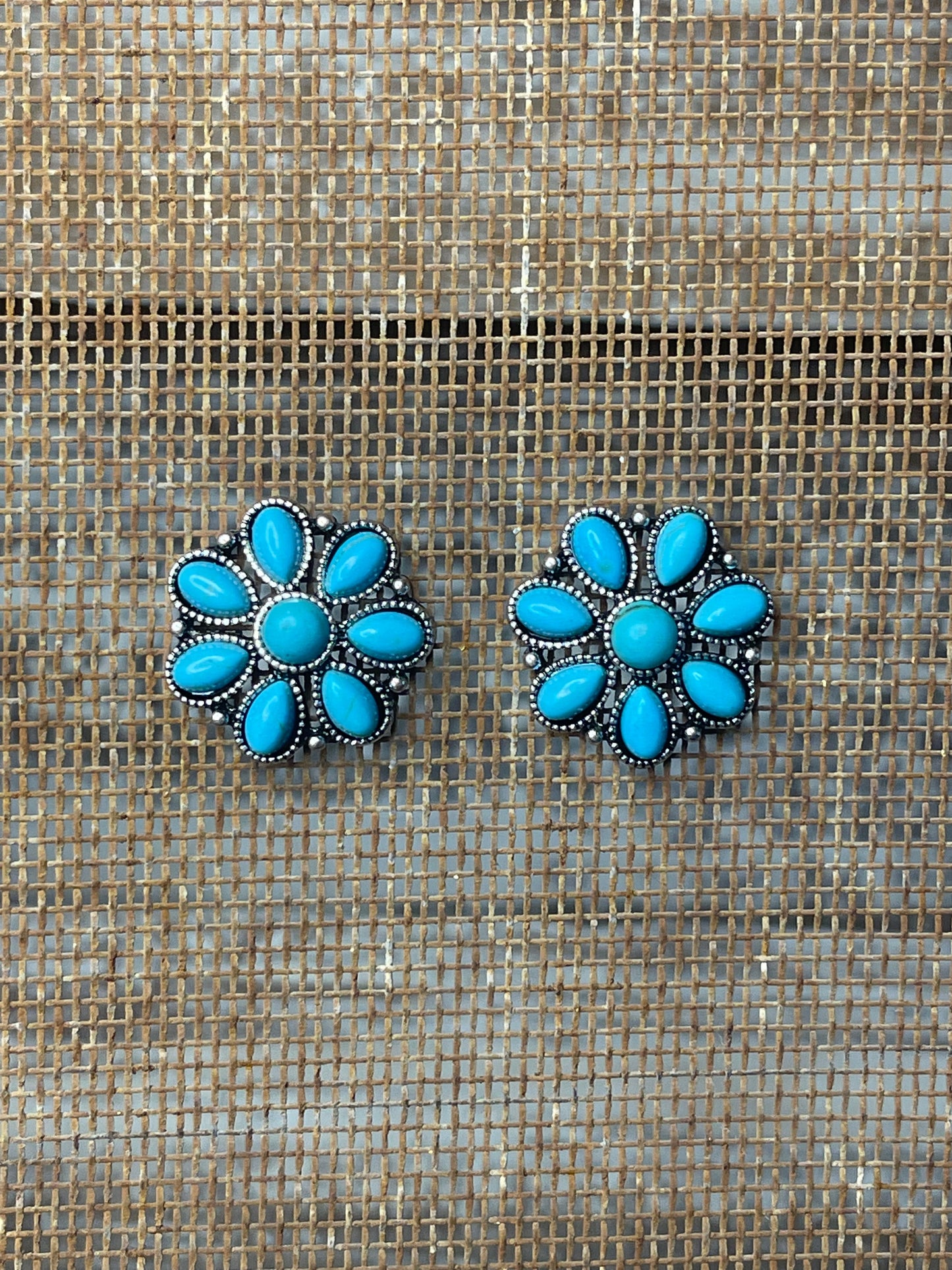 Romy Faux Turquoise Earrings